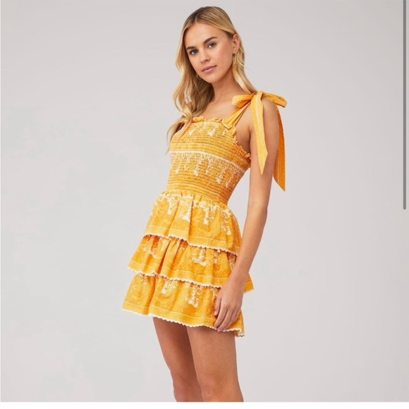 Cleobella Eliana Mini Dress Yellow Tiered NWT Size Large - Picture 2 of 13